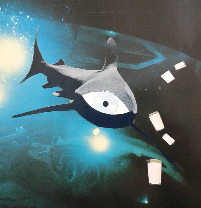 imagen 46. stella maris velasco